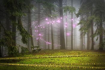 Sector 21 background